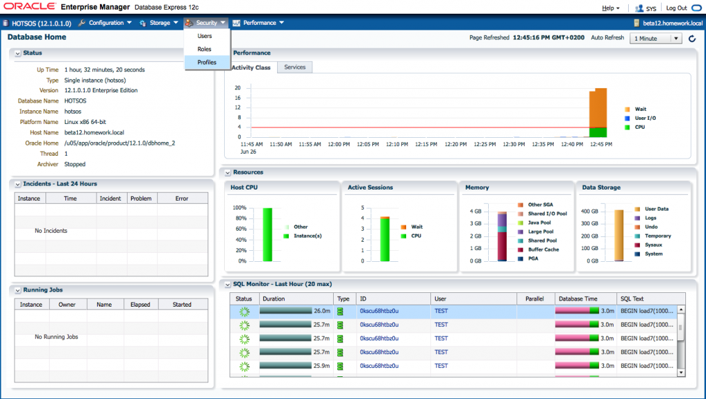 Oracle Database 12c: DB Express - Sneak Peek - AMIS Technology Blog ...