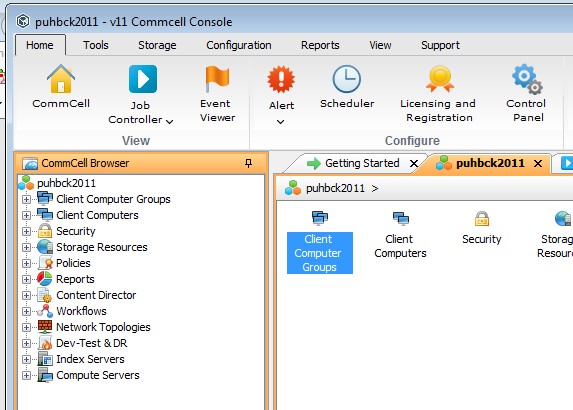 Crash recovery of Oracle databases using Commvault