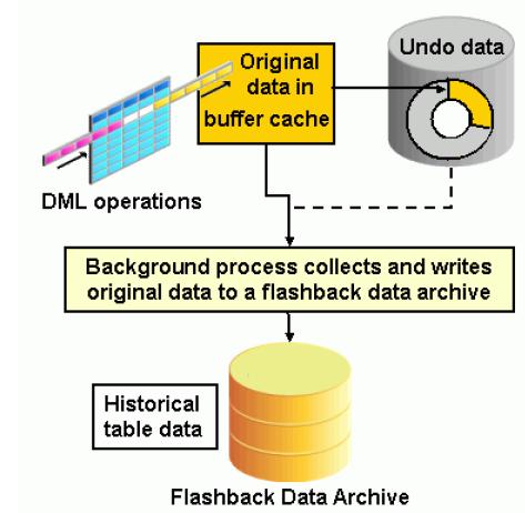 Create table oracle