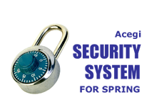 Acegi Security logo